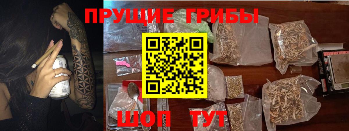 Псилоцибиновые грибы мухоморы Североморск