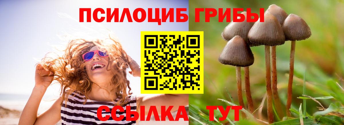 Псилоцибиновые грибы мухоморы  Галлюциногенные грибы GOLDEN TEACHER  Вход с VPN  дарнет шоп  Североморск 